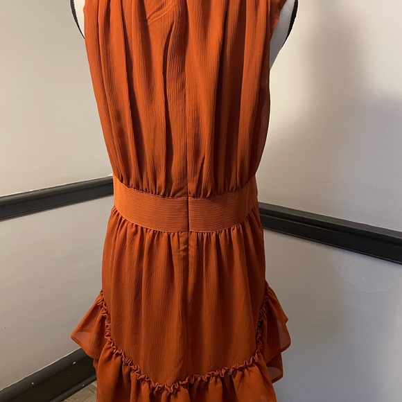 EXPRESS Fall Color Rustic Flowy Ruffle  Dress - Picture 2 of 3